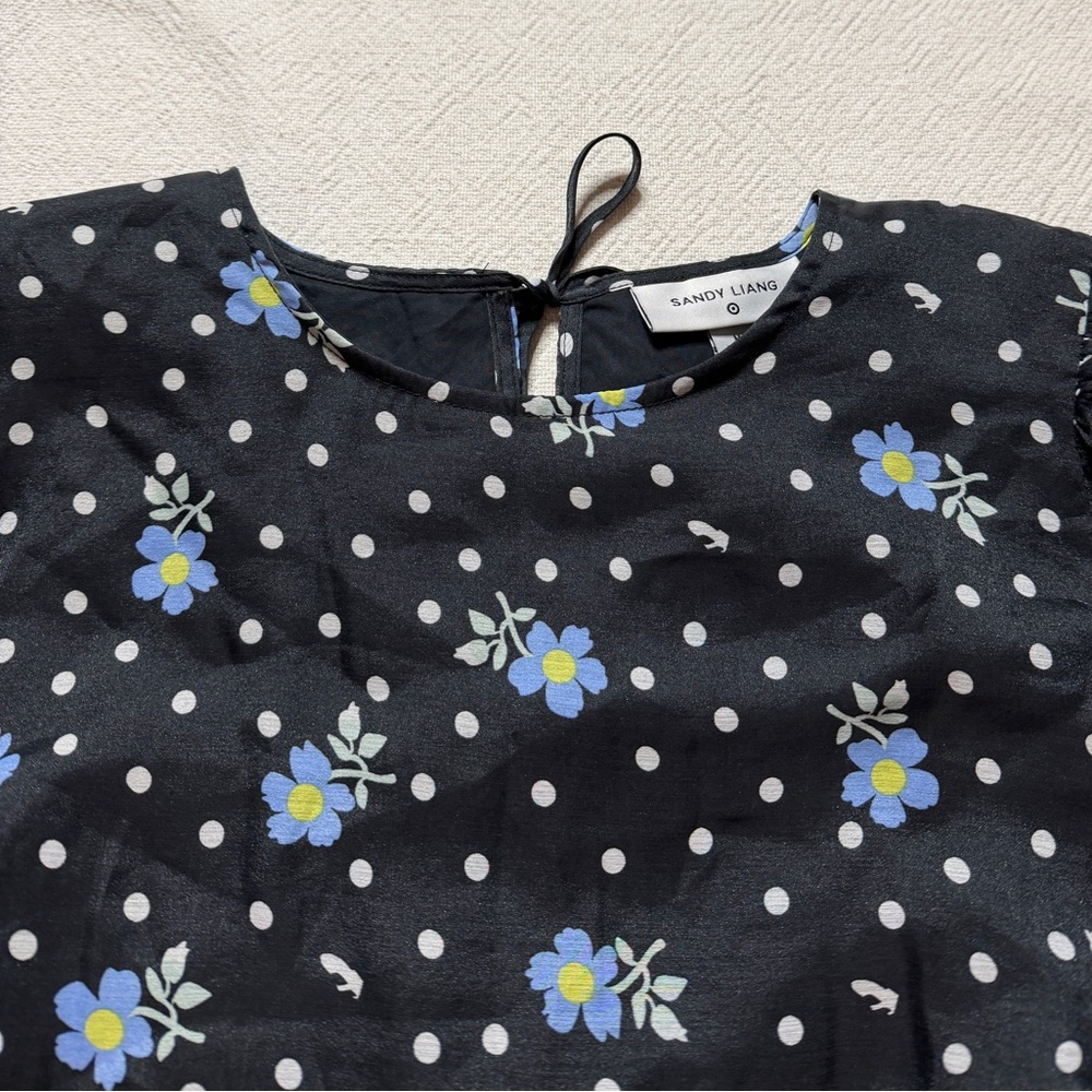 Sandy Liang x Target Black Polka Dot Dark Floral Chiffon Tiered Mini Dress M - Picture 5 of 8